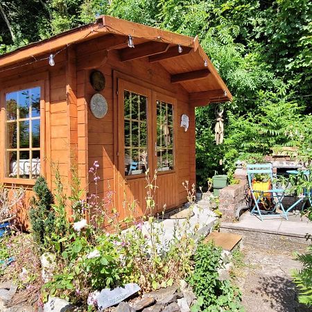 Tan Y Coed'S Rosemary Cabin Conwy Buitenkant foto
