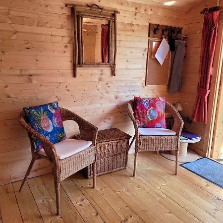 Tan Y Coed'S Rosemary Cabin Conwy Buitenkant foto