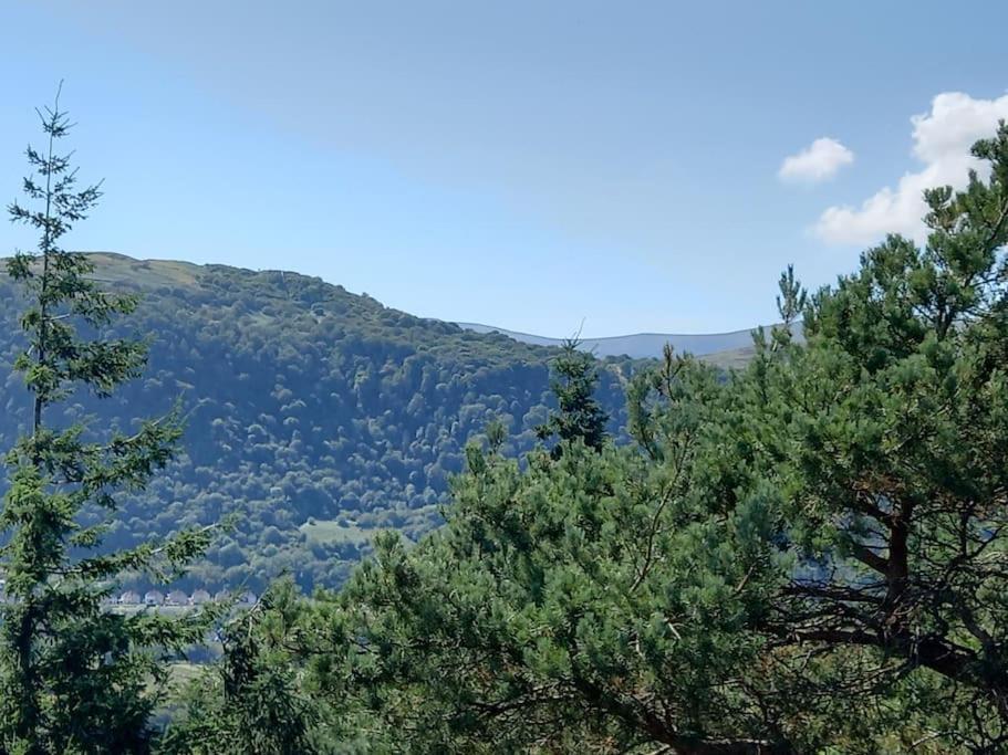 Tan Y Coed'S Rosemary Cabin Conwy Buitenkant foto